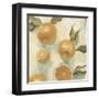 Citrus Study in Oil IV-Emma Scarvey-Framed Art Print