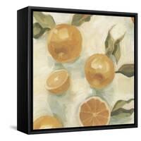 Citrus Study in Oil IV-Emma Scarvey-Framed Stretched Canvas