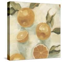 Citrus Study in Oil IV-Emma Scarvey-Stretched Canvas