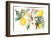 Citrus Summer I-Kristy Rice-Framed Art Print