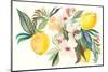 Citrus Summer I-Kristy Rice-Mounted Art Print