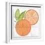 Citrus Tile V-Elyse DeNeige-Framed Art Print