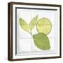 Citrus Tile VII-Elyse DeNeige-Framed Art Print