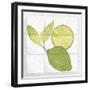 Citrus Tile VII-Elyse DeNeige-Framed Art Print