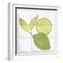 Citrus Tile VII-Elyse DeNeige-Framed Art Print