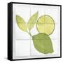 Citrus Tile VII-Elyse DeNeige-Framed Stretched Canvas