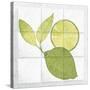 Citrus Tile VII-Elyse DeNeige-Stretched Canvas