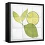 Citrus Tile VII-Elyse DeNeige-Framed Stretched Canvas