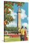 Citrus Tower, Clermont, Florida-null-Stretched Canvas