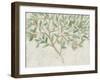 Citrus Tree Fresco II-June Vess-Framed Art Print