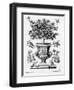 Citrus Trees, C.1735 (Engraving)-Martin Engelbrecht-Framed Premium Giclee Print