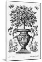 Citrus Trees, C.1735 (Engraving)-Martin Engelbrecht-Mounted Giclee Print