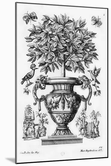 Citrus Trees, C.1735 (Engraving)-Martin Engelbrecht-Mounted Giclee Print