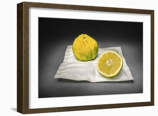 Citrus-Christophe Verot-Framed Giclee Print