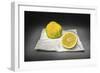 Citrus-Christophe Verot-Framed Giclee Print