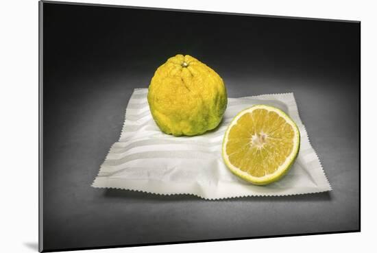 Citrus-Christophe Verot-Mounted Giclee Print