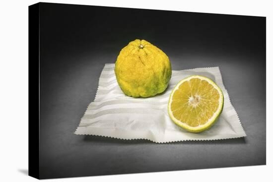 Citrus-Christophe Verot-Stretched Canvas