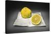 Citrus-Christophe Verot-Stretched Canvas