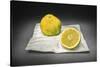 Citrus-Christophe Verot-Stretched Canvas