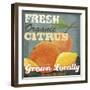 Citrus-Fiona Stokes-Gilbert-Framed Giclee Print