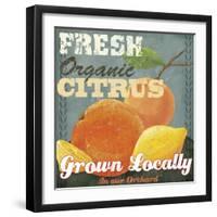 Citrus-Fiona Stokes-Gilbert-Framed Giclee Print