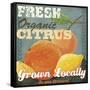 Citrus-Fiona Stokes-Gilbert-Framed Stretched Canvas