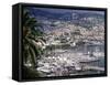 City and Marina, Funchal, Madeira, Portugal-Walter Bibikow-Framed Stretched Canvas