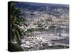 City and Marina, Funchal, Madeira, Portugal-Walter Bibikow-Stretched Canvas