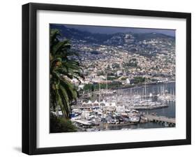 City and Marina, Funchal, Madeira, Portugal-Walter Bibikow-Framed Premium Photographic Print