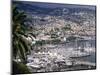 City and Marina, Funchal, Madeira, Portugal-Walter Bibikow-Mounted Photographic Print