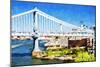 City Bridge - In the Style of Oil Painting-Philippe Hugonnard-Mounted Giclee Print