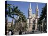 City Cathedral, Sao Paulo, Brazil, South America-Tony Waltham-Stretched Canvas