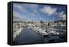 City Centre and Waterfront from Chaffers Marina, Wellington, North Island, New Zealand, Pacific-Nick Servian-Framed Stretched Canvas