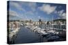 City Centre and Waterfront from Chaffers Marina, Wellington, North Island, New Zealand, Pacific-Nick Servian-Stretched Canvas