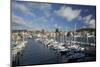 City Centre and Waterfront from Chaffers Marina, Wellington, North Island, New Zealand, Pacific-Nick Servian-Mounted Photographic Print