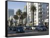 City centre, Santa Monica, California, United States of America, North America-Peter Groenendijk-Framed Stretched Canvas