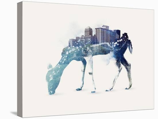 City Deer-Robert Farkas-Stretched Canvas