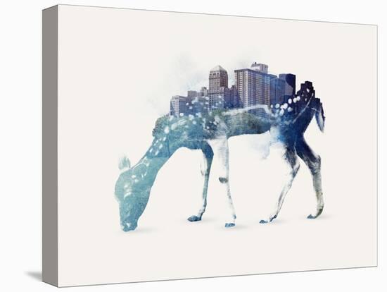 City Deer-Robert Farkas-Stretched Canvas