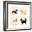 City Dogs and Country Dogs-Kate Mawdsley-Framed Art Print