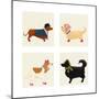 City Dogs and Country Dogs-Kate Mawdsley-Mounted Art Print