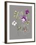 City Flowers I-Sandra Jacobs-Framed Giclee Print