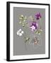 City Flowers I-Sandra Jacobs-Framed Giclee Print