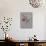 City Flowers II-Sandra Jacobs-Giclee Print displayed on a wall