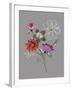 City Flowers II-Sandra Jacobs-Framed Giclee Print