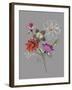 City Flowers II-Sandra Jacobs-Framed Giclee Print