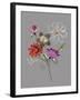 City Flowers II-Sandra Jacobs-Framed Giclee Print