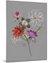 City Flowers II-Sandra Jacobs-Mounted Giclee Print