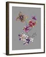 City Flowers III-Sandra Jacobs-Framed Giclee Print