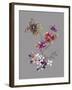 City Flowers III-Sandra Jacobs-Framed Giclee Print