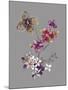 City Flowers III-Sandra Jacobs-Mounted Giclee Print